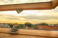 rated Hirwaun Common roof window companies